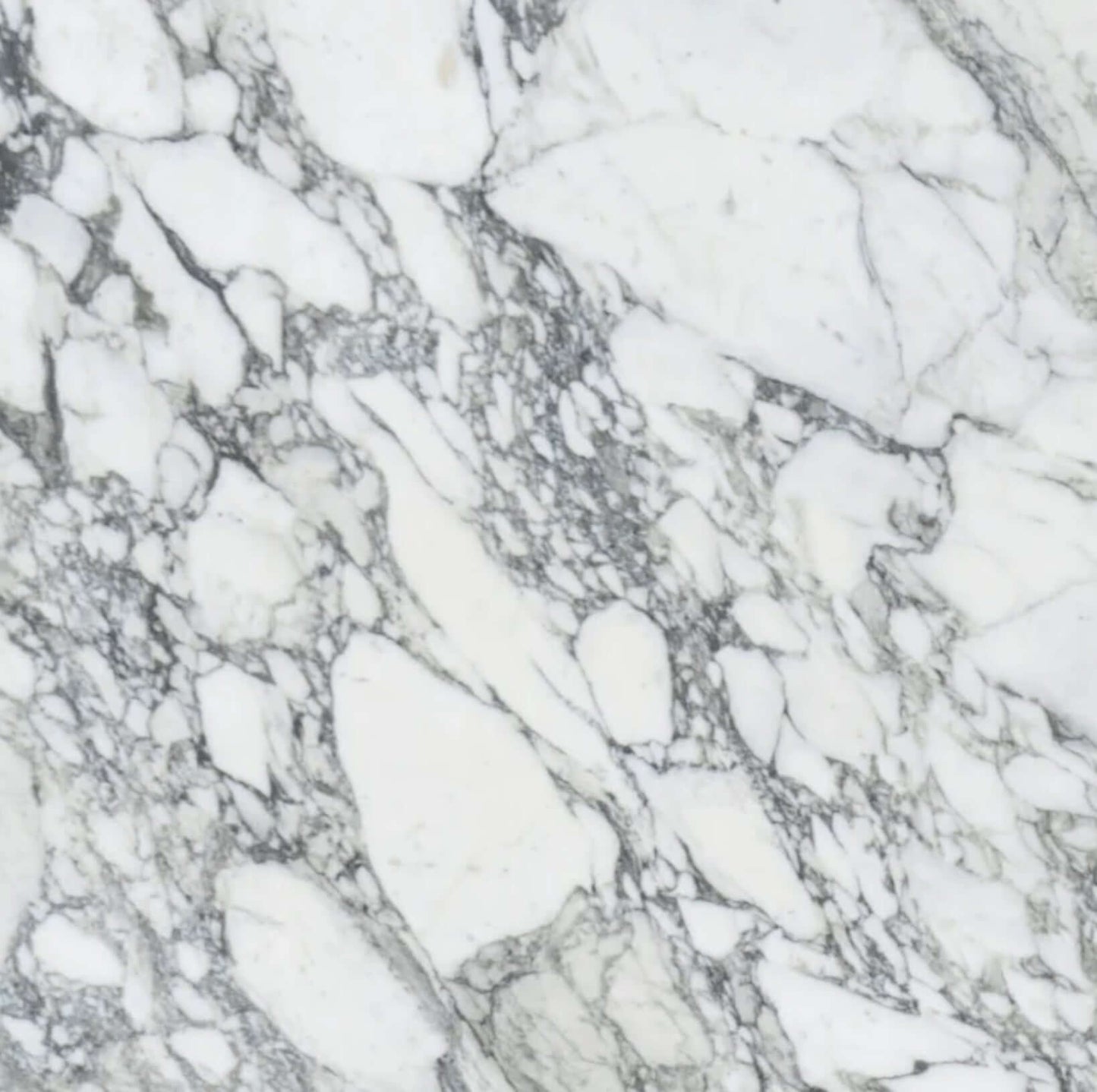 24x24 Arabescato Polished Italian Marble - Hey Tiles