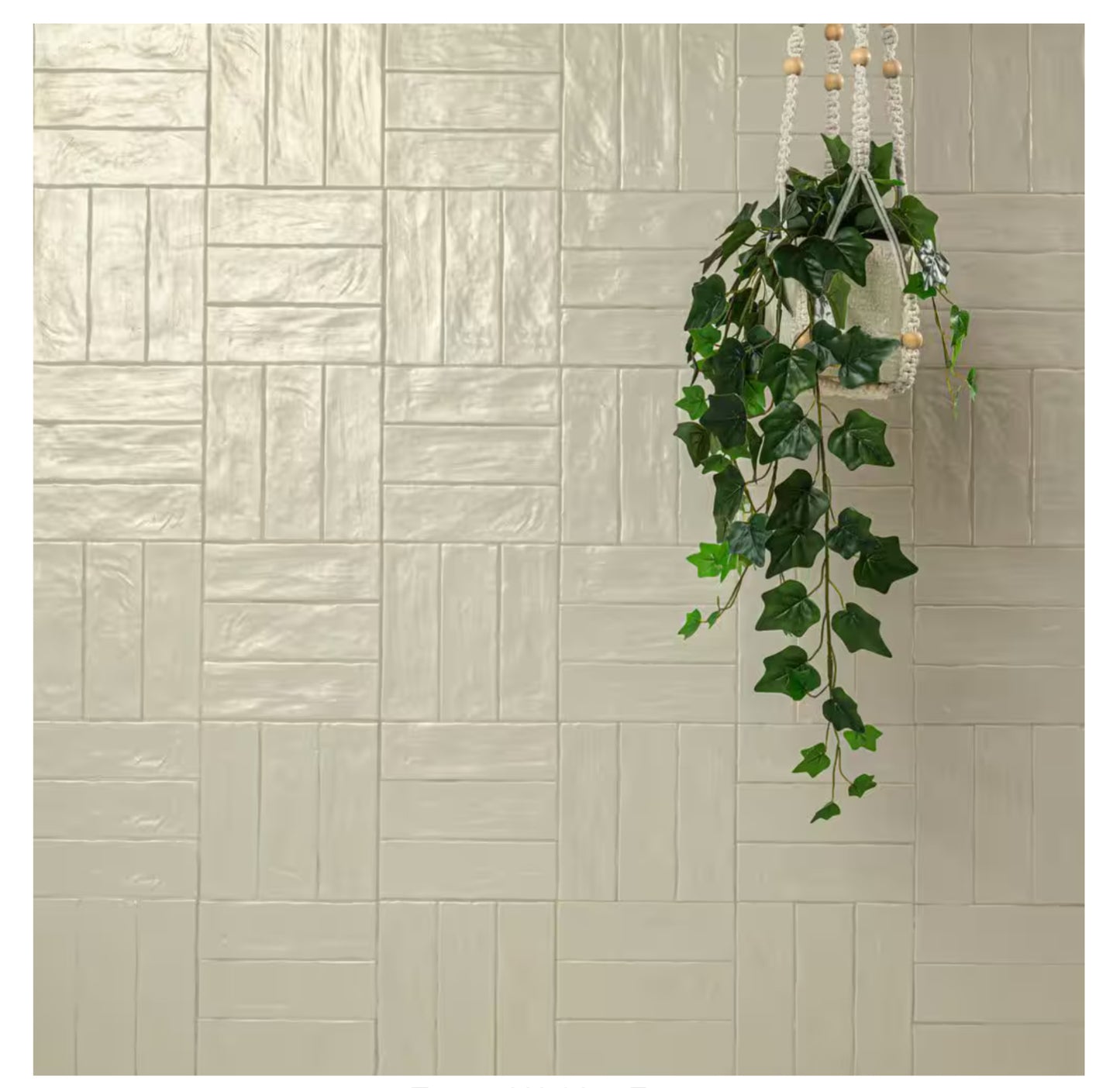 Zelyge Aloe Zest 2.5x8 Satin Ceramic Zellige Look Wall Tile