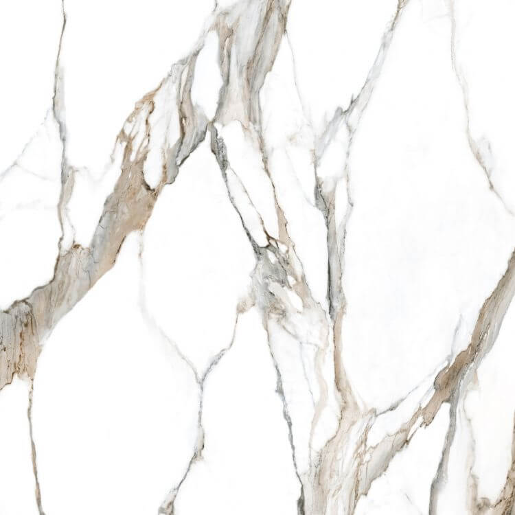 Calacatta Fantasy Topo Polished 48 x 48 - Hey Tiles