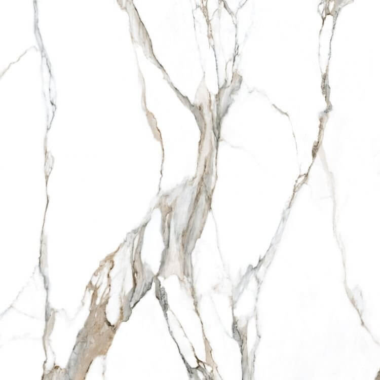 Calacatta Fantasy Topo Polished 48 x 48 - Hey Tiles