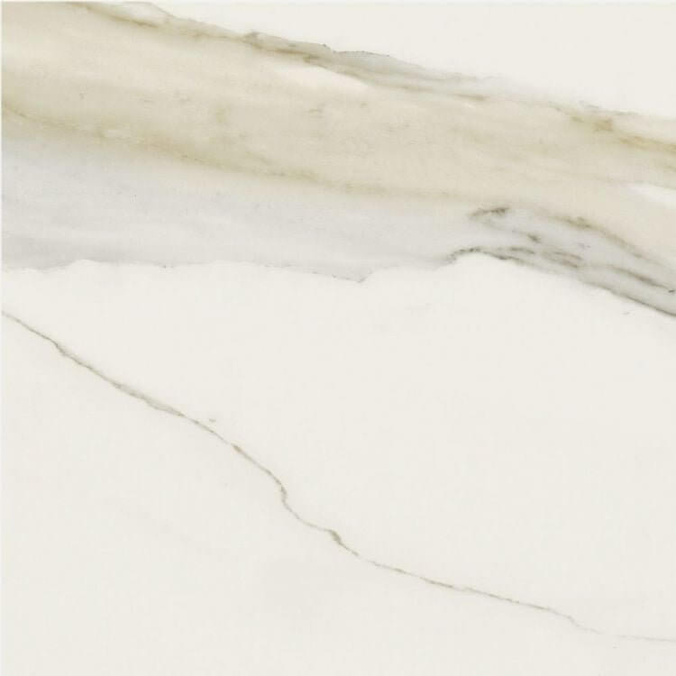 Classici Calacatta Gold Matte 24 x 24 - Hey Tiles