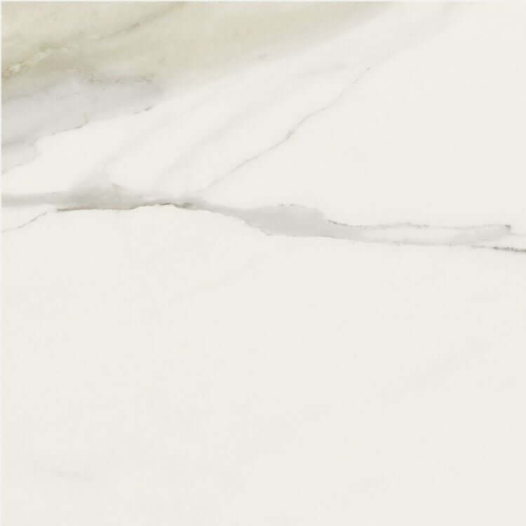 Classici Calacatta Gold Matte 24 x 24 - Hey Tiles