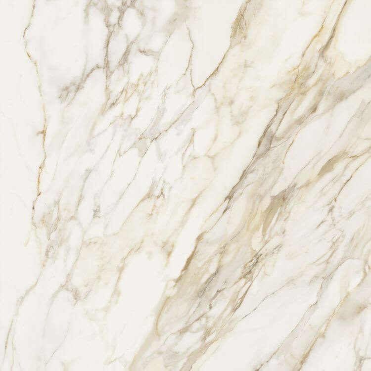Etoile Creme Matte 48 x 48 - Hey Tiles