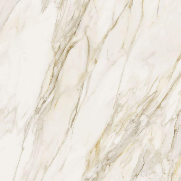 Etoile Creme Matte 48 x 48 - Hey Tiles