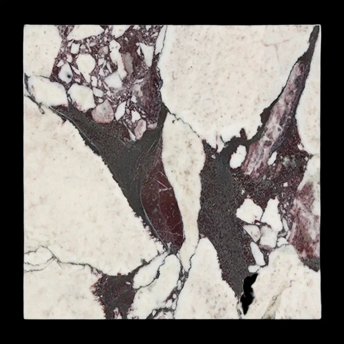 12x12 Calacatta Viola Marble Tile - Hey Tiles