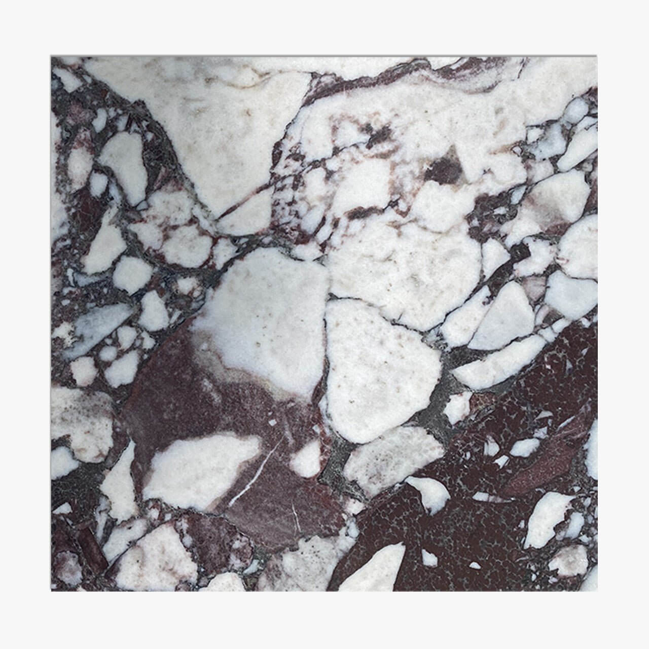 12x12 Calacatta Viola Marble Tile - Hey Tiles