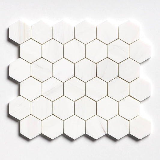 2” Hexagon Dolomite Honed 12 x 12 - Hey Tiles