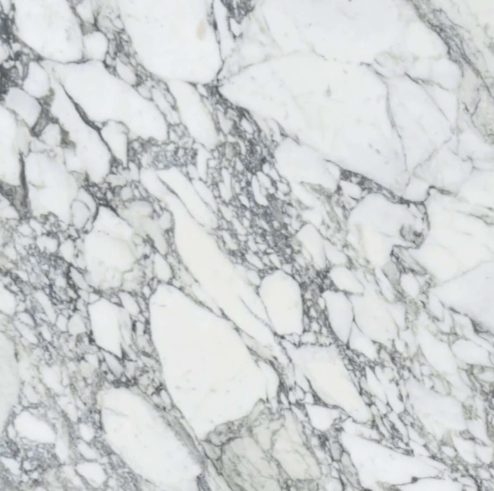 24x24 Arabescato Polished Italian Marble - Hey Tiles