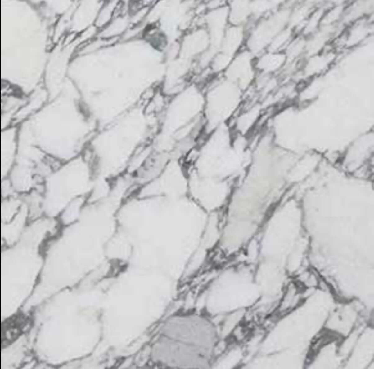 24x24 Arabescato Polished Italian Marble - Hey Tiles