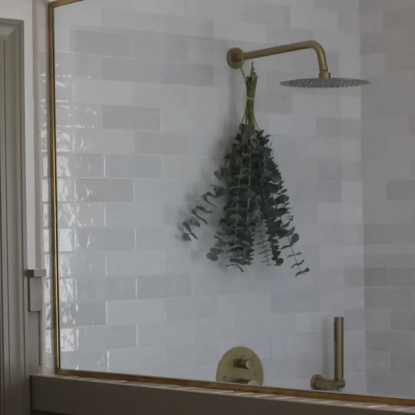 Modern bathroom with Cloé glossy ceramic tiles, featuring a stylish shower and eucalyptus for a fresh touch.