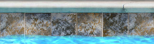 Fujiwa Joya Cotto 6x6 semi-gloss porcelain tiles around a swimming pool water edge.