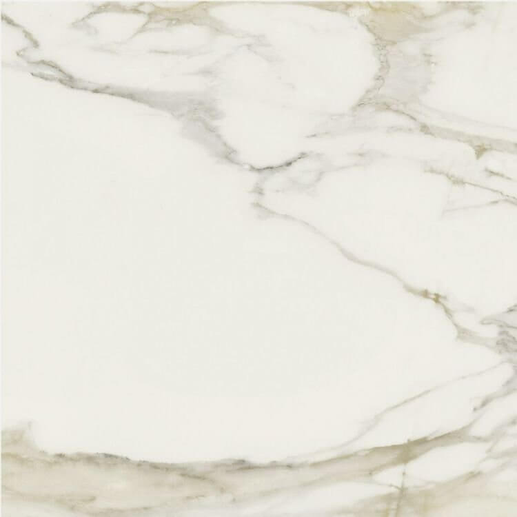 Classici Calacatta Gold Matte 24 x 24 - Hey Tiles