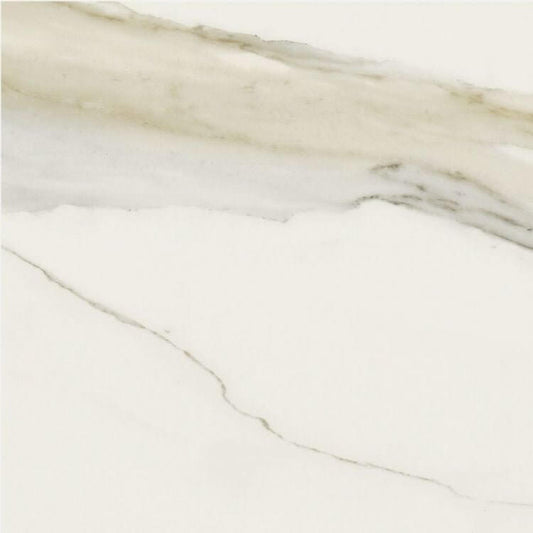 Classici Calacatta Gold Matte 24 x 24 - Hey Tiles
