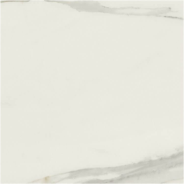 Classici Calacatta Gold Matte 48 x 48 - Hey Tiles