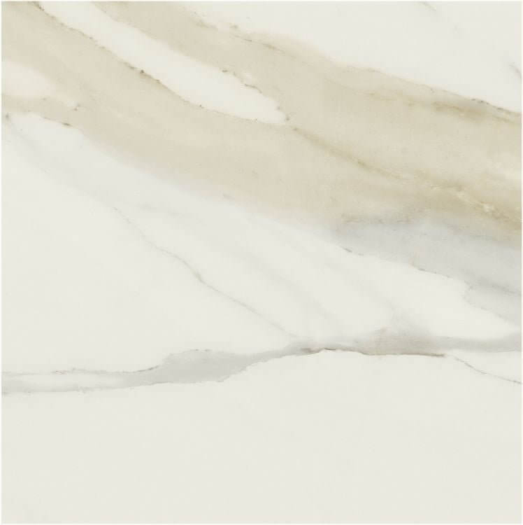 Classici Calacatta Gold Matte 48 x 48 - Hey Tiles
