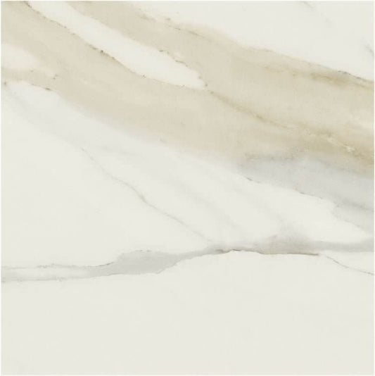 Classici Calacatta Gold Matte 48 x 48 - Hey Tiles