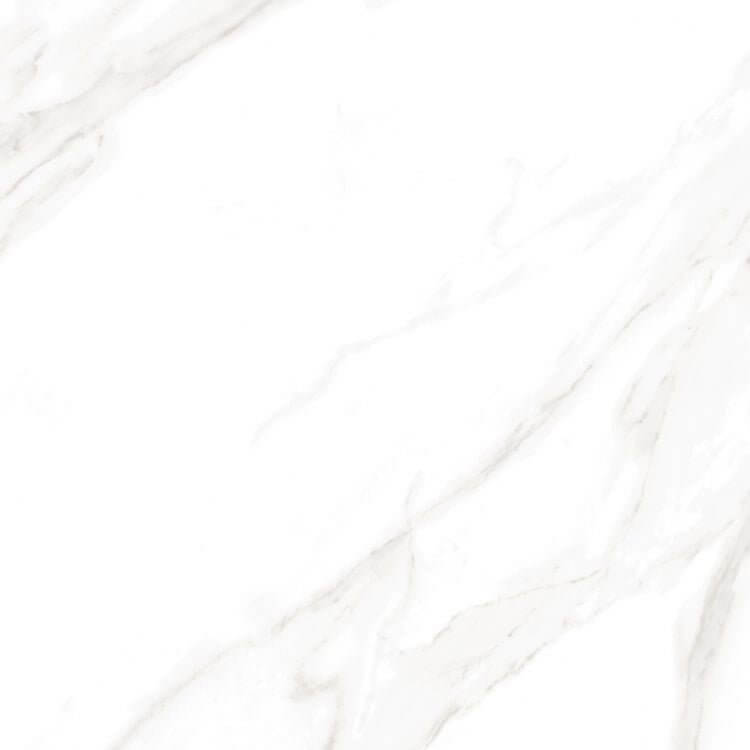 EC Calacatta Gold Matte 24 x 24 - Hey Tiles