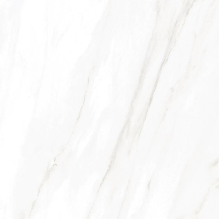 EC Calacatta Gold Matte 24 x 24 - Hey Tiles