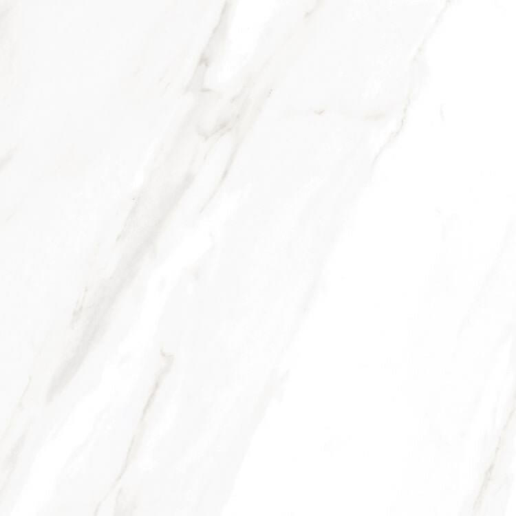 EC Calacatta Gold Matte 24 x 24 - Hey Tiles