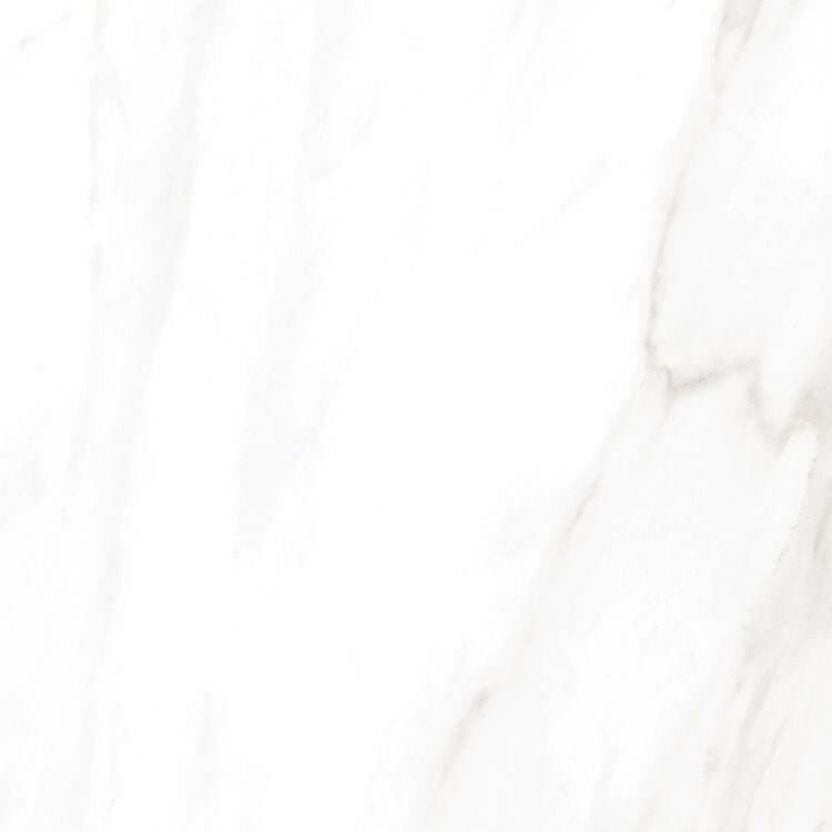 EC Calacatta Gold Matte 24 x 24 - Hey Tiles