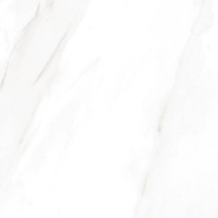 EC Calacatta Gold Matte 24 x 24 - Hey Tiles