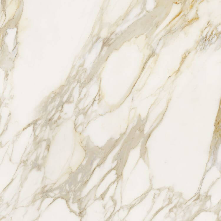 Etoile Creme Glossy 48 x 48, REX - Hey Tiles