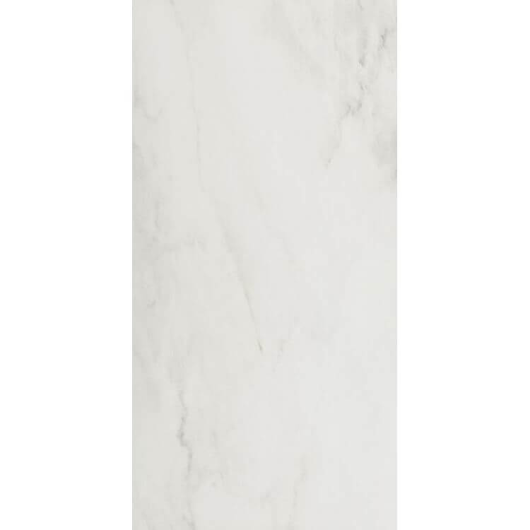 Snow Polished 24 x 48 Ecoceramic Ceramica - Hey Tiles
