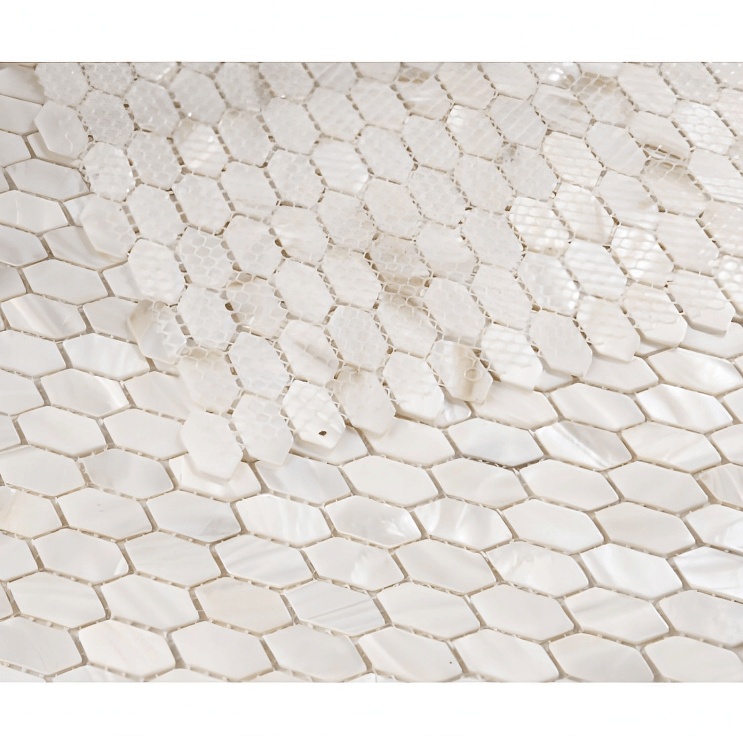 Pearl White Arrow 12 x 12 - Hey Tiles